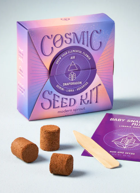modern sprout cosmic seed kit air