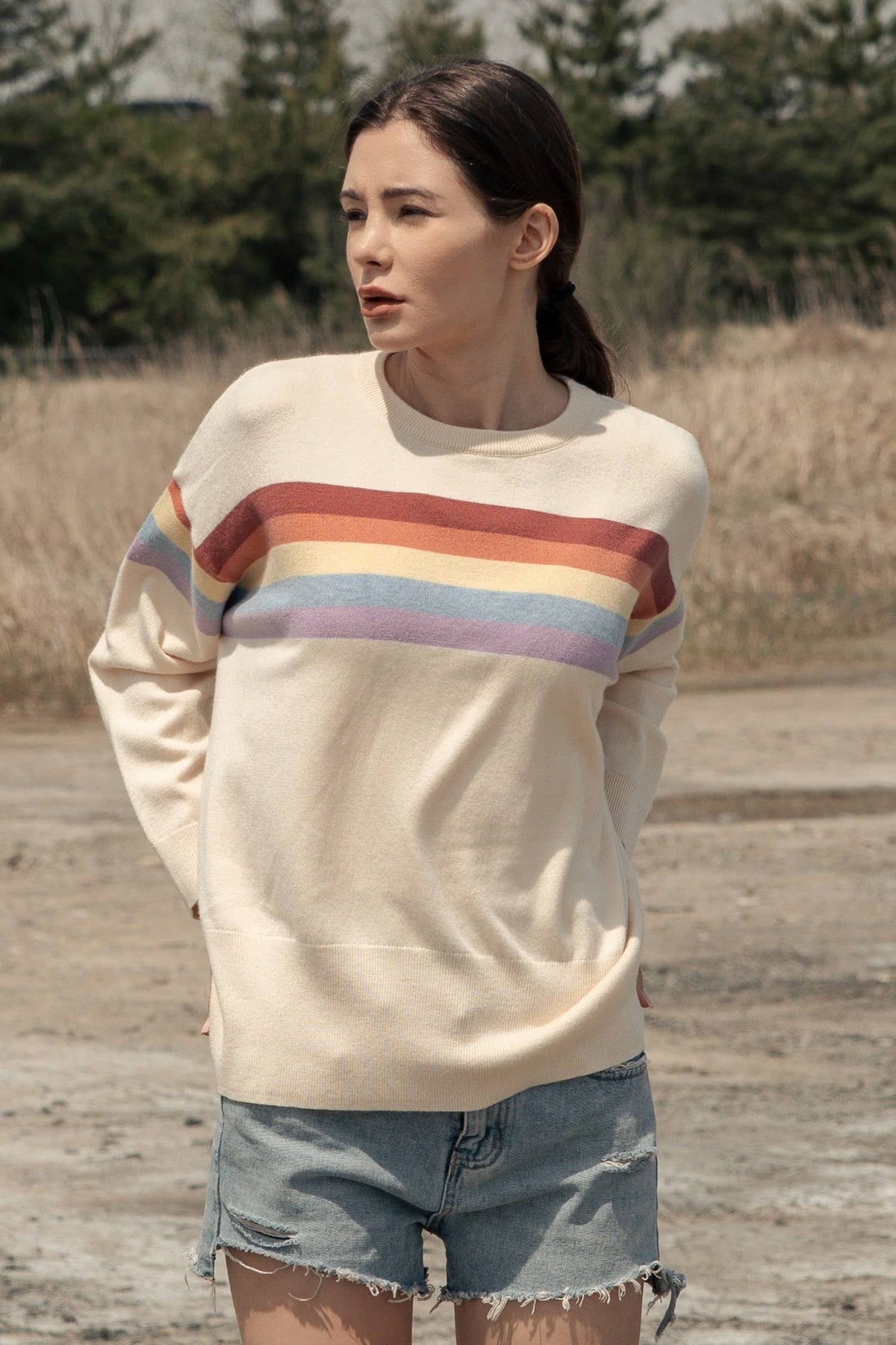 Round Neck Knit Sweater with Multi Stripe Detail