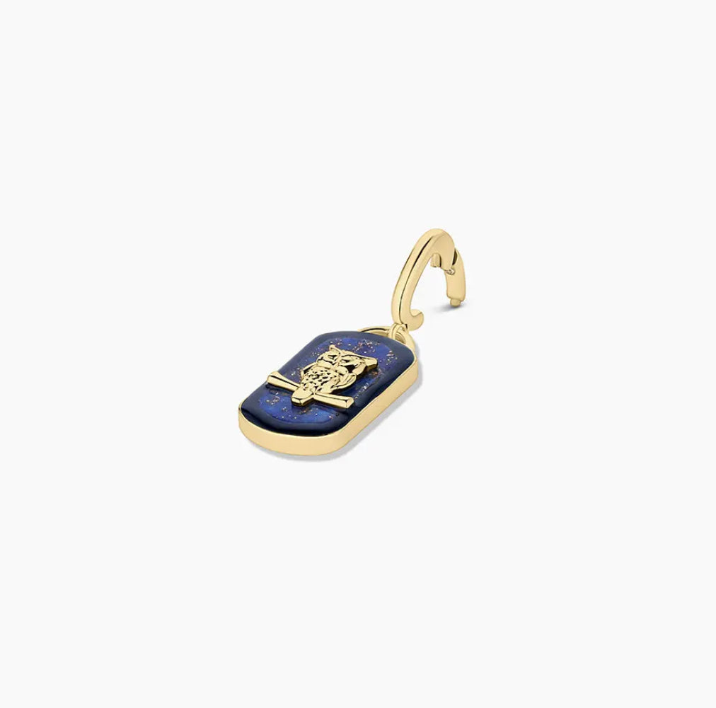 Gorjana Power Gemstone Wisdom Parker Charm