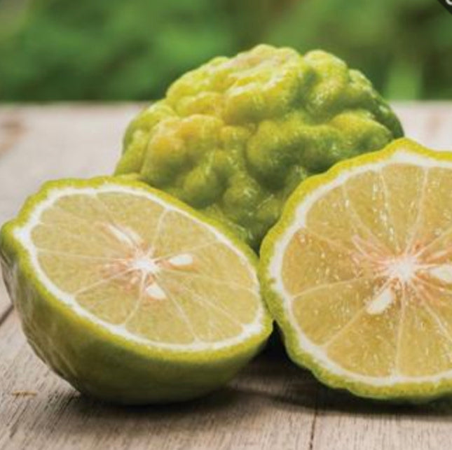 Airome Essential Oil Bergamot Lime