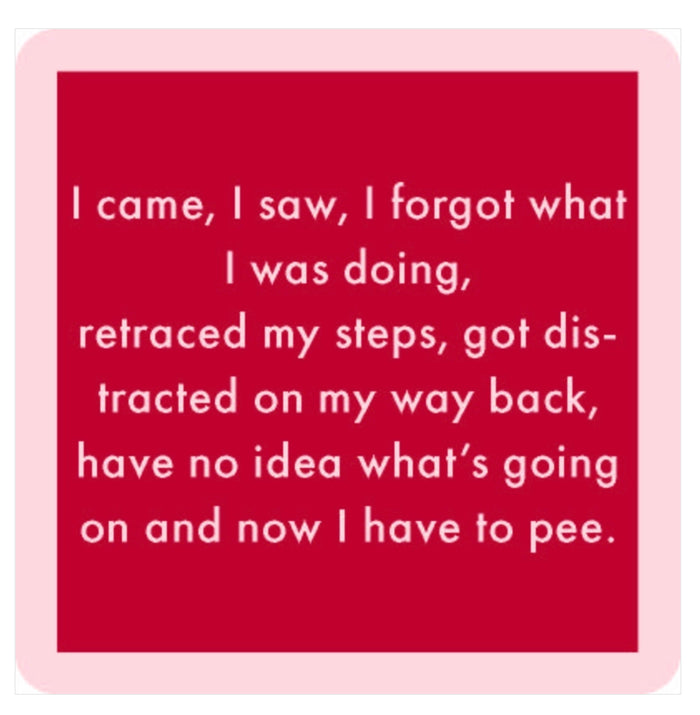 Drinks On Me Coaster - I Came, I Saw
