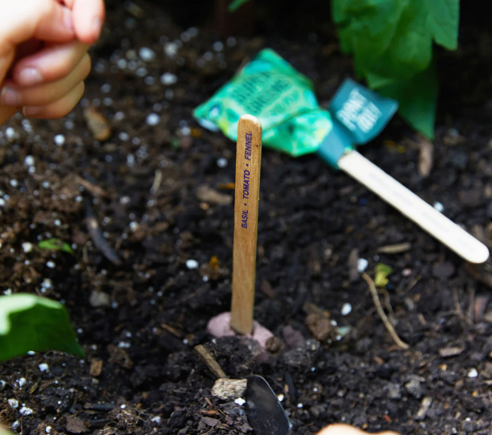 Modern Sprout Pollinator Seed Lollipops