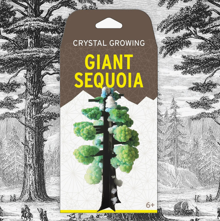 Giant Sequoia Crystal Growing Kit - The Boutique at Fresh