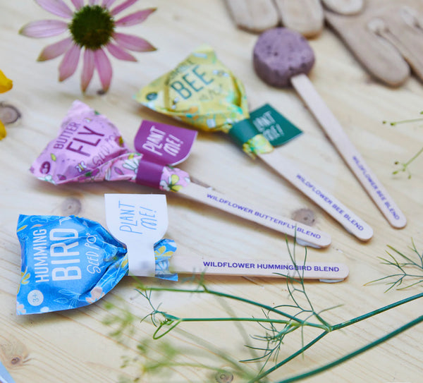 Modern Sprout Pollinator Seed Lollipops