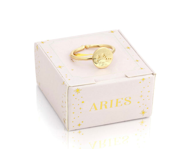 Lucky Feather Zodiac Signet Ring - Aries