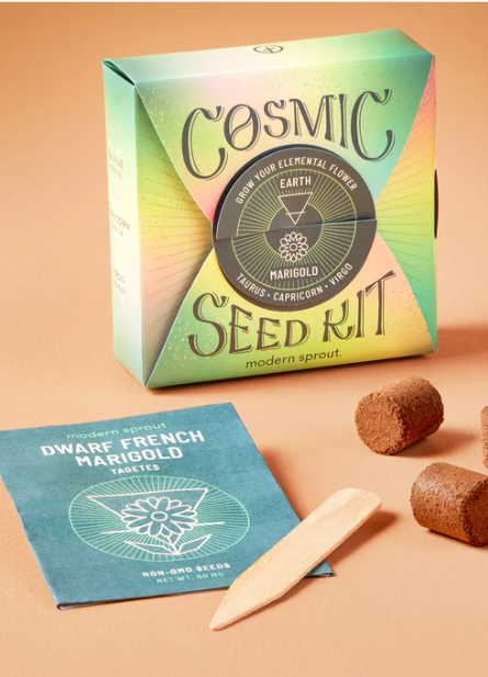 modern sprout cosmic seed kit earth